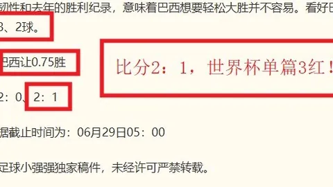 2030世界杯大升，Manbetx体育，级南美主席力推64队纪念百年盛典
